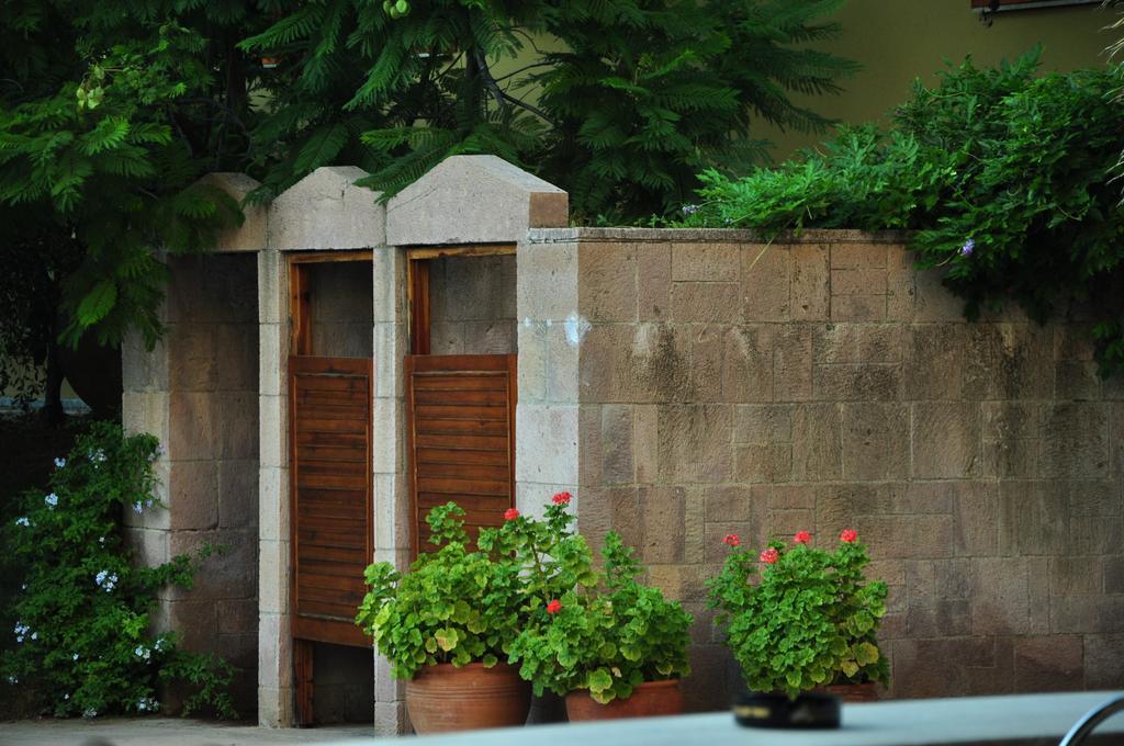 Palm Court Suites Ayvalı Εξωτερικό φωτογραφία
