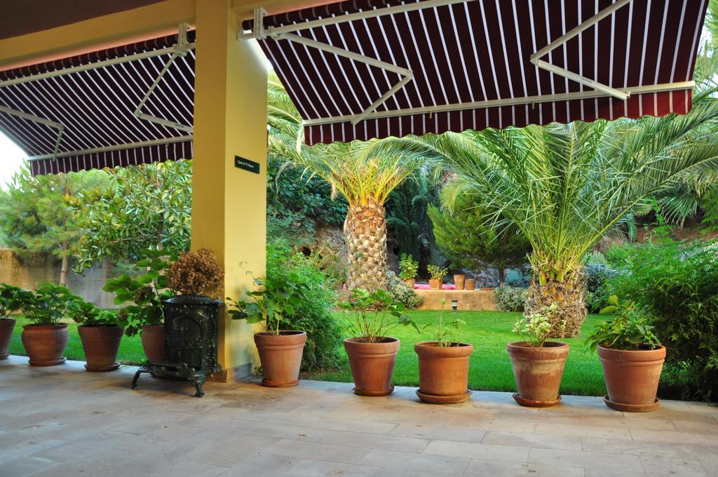 Palm Court Suites Ayvalı Εξωτερικό φωτογραφία